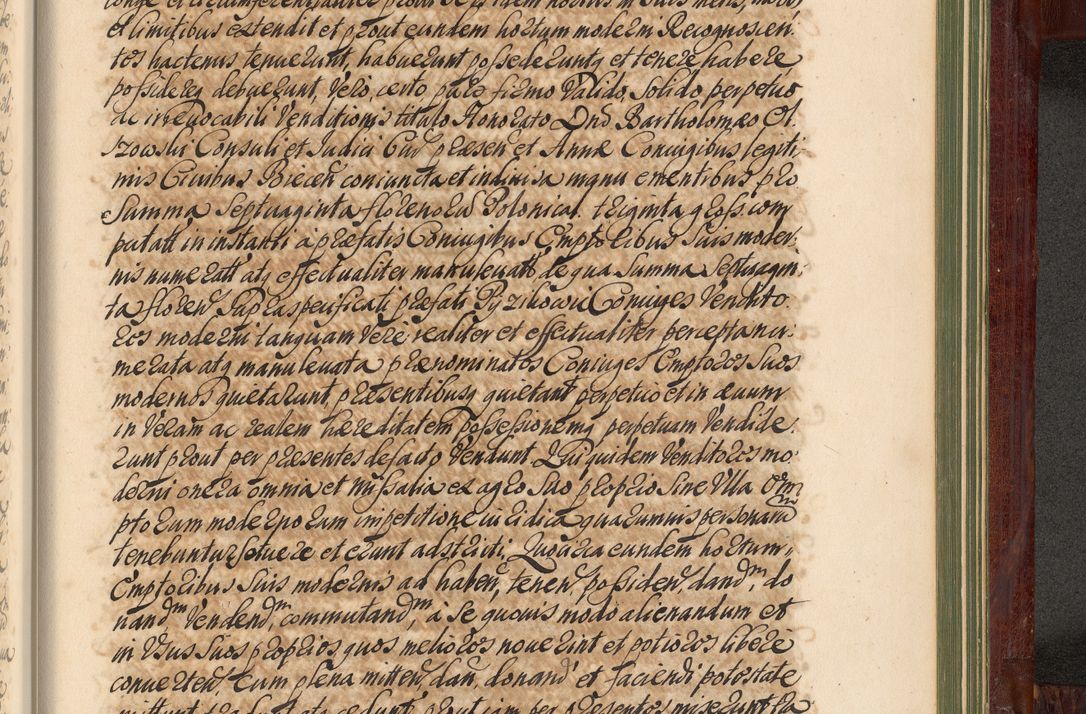 Zdjęcie nr 1330 dla obiektu archiwalnego: Acta actorum episcopalium R. D. Andreae Trzebicki, episcopi Cracoviensis et ducis Severiae de 1679. Volumen VIII