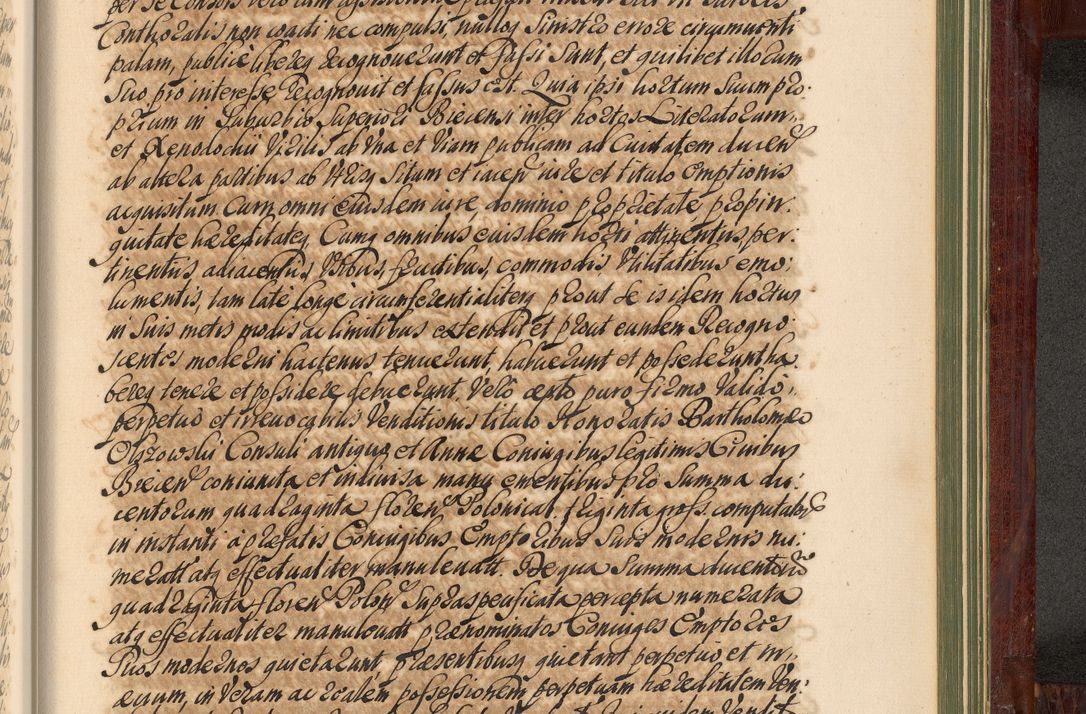 Zdjęcie nr 1328 dla obiektu archiwalnego: Acta actorum episcopalium R. D. Andreae Trzebicki, episcopi Cracoviensis et ducis Severiae de 1679. Volumen VIII