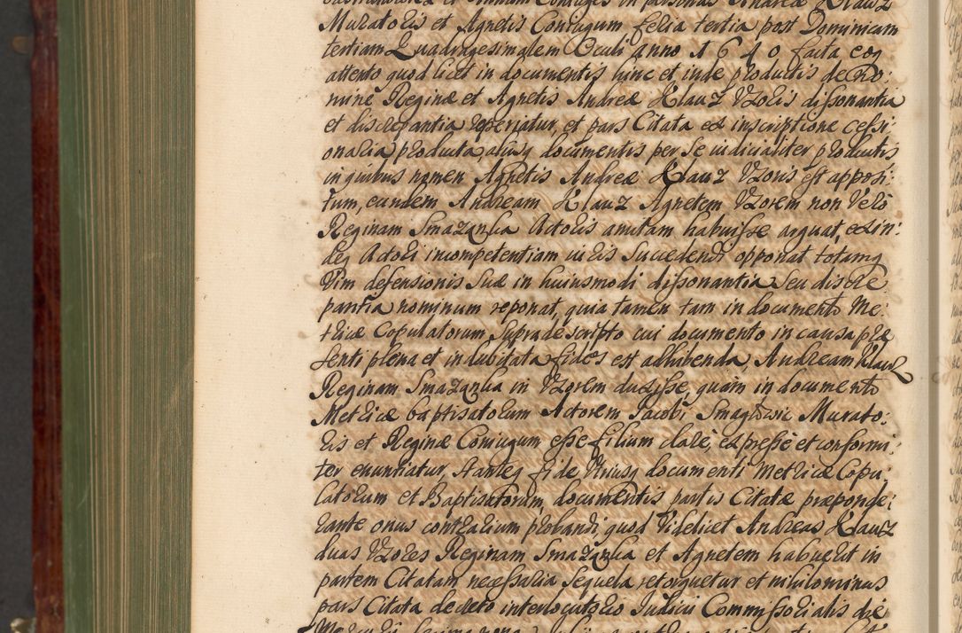 Zdjęcie nr 1247 dla obiektu archiwalnego: Acta actorum episcopalium R. D. Andreae Trzebicki, episcopi Cracoviensis et ducis Severiae de 1679. Volumen VIII