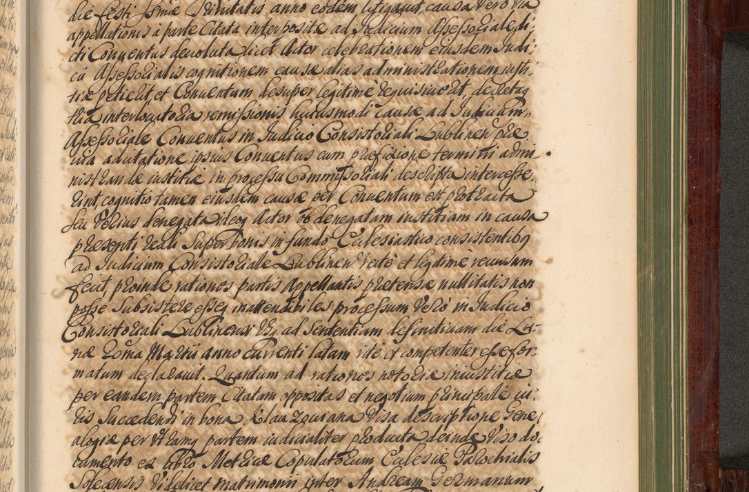 Zdjęcie nr 1246 dla obiektu archiwalnego: Acta actorum episcopalium R. D. Andreae Trzebicki, episcopi Cracoviensis et ducis Severiae de 1679. Volumen VIII