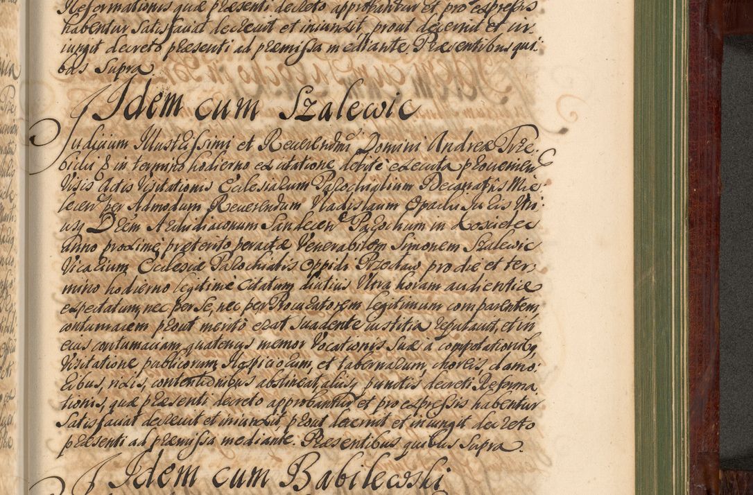 Zdjęcie nr 1212 dla obiektu archiwalnego: Acta actorum episcopalium R. D. Andreae Trzebicki, episcopi Cracoviensis et ducis Severiae de 1679. Volumen VIII