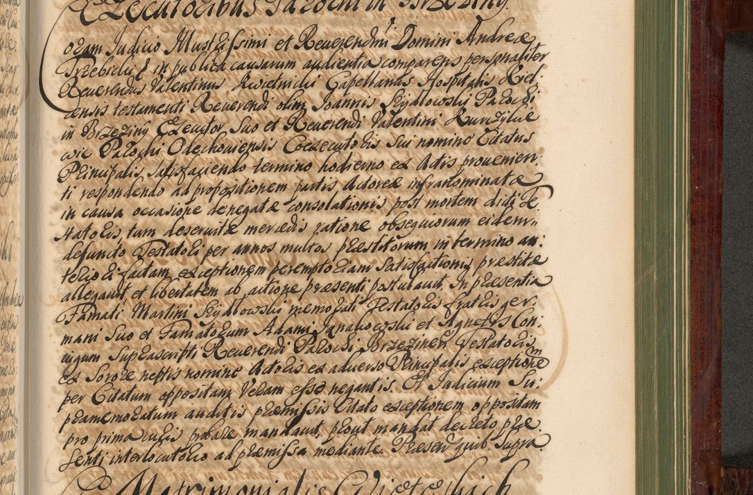 Zdjęcie nr 1206 dla obiektu archiwalnego: Acta actorum episcopalium R. D. Andreae Trzebicki, episcopi Cracoviensis et ducis Severiae de 1679. Volumen VIII