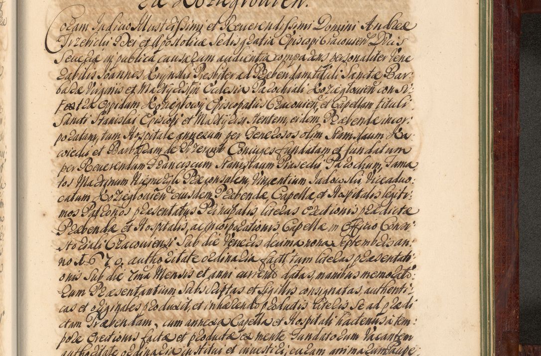 Zdjęcie nr 1404 dla obiektu archiwalnego: Acta actorum episcopalium R. D. Andreae Trzebicki, episcopi Cracoviensis et ducis Severiae de 1679. Volumen VIII
