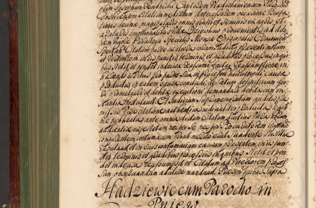 Zdjęcie nr 1373 dla obiektu archiwalnego: Acta actorum episcopalium R. D. Andreae Trzebicki, episcopi Cracoviensis et ducis Severiae de 1679. Volumen VIII