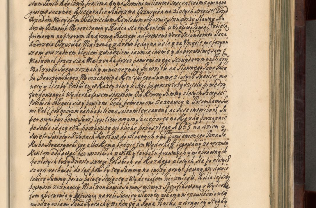 Zdjęcie nr 82 dla obiektu archiwalnego: Acta actorum episscopalium R. D. Joannis Małachowski, episcopi Cracoviensis a die 20 Augusti anni 1681 et 1682 acticatorum. Volumen I