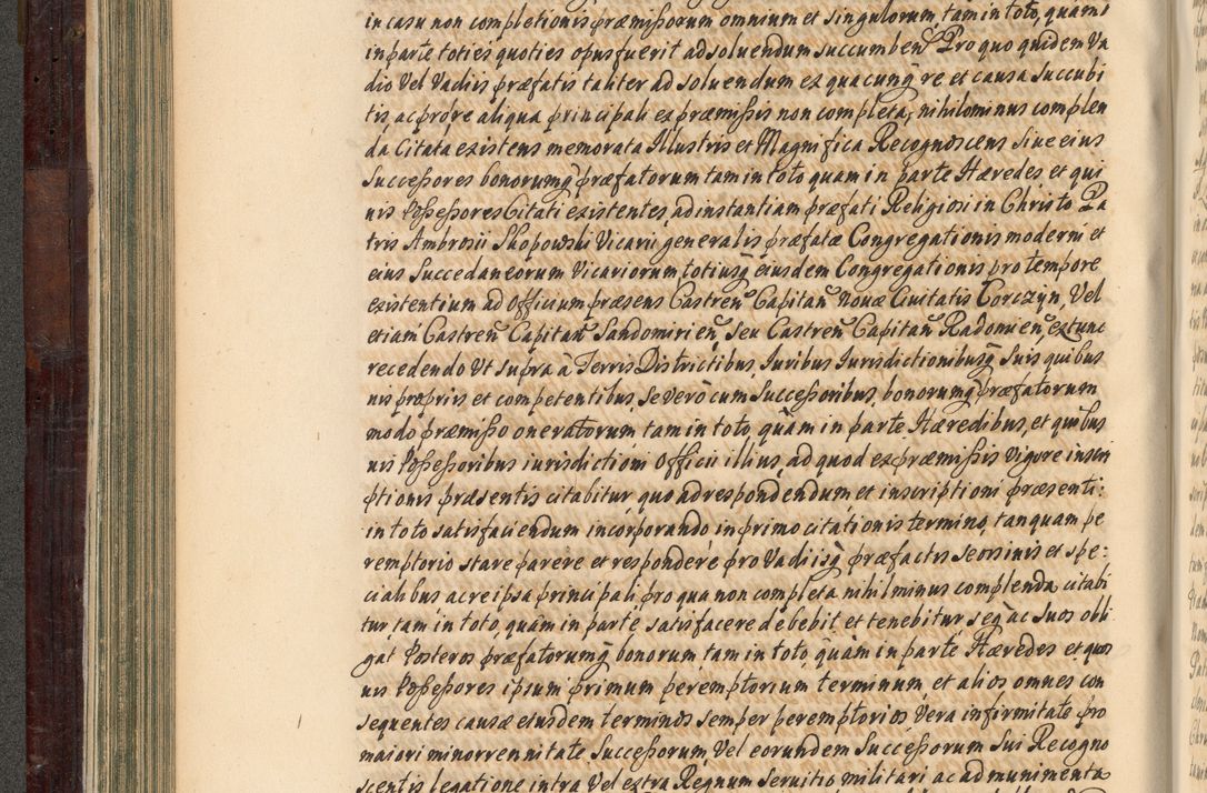 Zdjęcie nr 207 dla obiektu archiwalnego: Acta actorum episscopalium R. D. Joannis Małachowski, episcopi Cracoviensis a die 20 Augusti anni 1681 et 1682 acticatorum. Volumen I