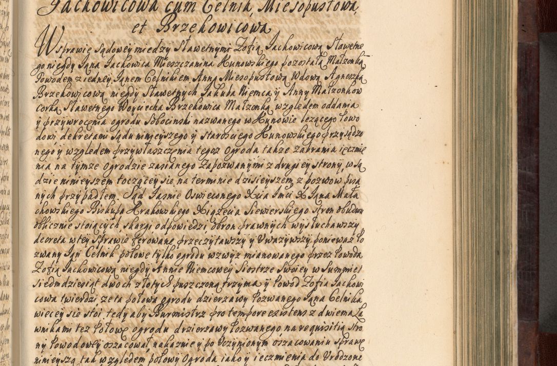 Zdjęcie nr 366 dla obiektu archiwalnego: Acta actorum episscopalium R. D. Joannis Małachowski, episcopi Cracoviensis a die 20 Augusti anni 1681 et 1682 acticatorum. Volumen I