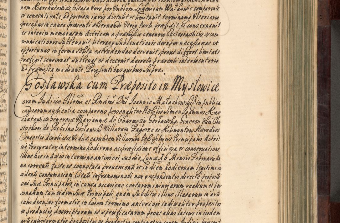 Zdjęcie nr 352 dla obiektu archiwalnego: Acta actorum episscopalium R. D. Joannis Małachowski, episcopi Cracoviensis a die 20 Augusti anni 1681 et 1682 acticatorum. Volumen I