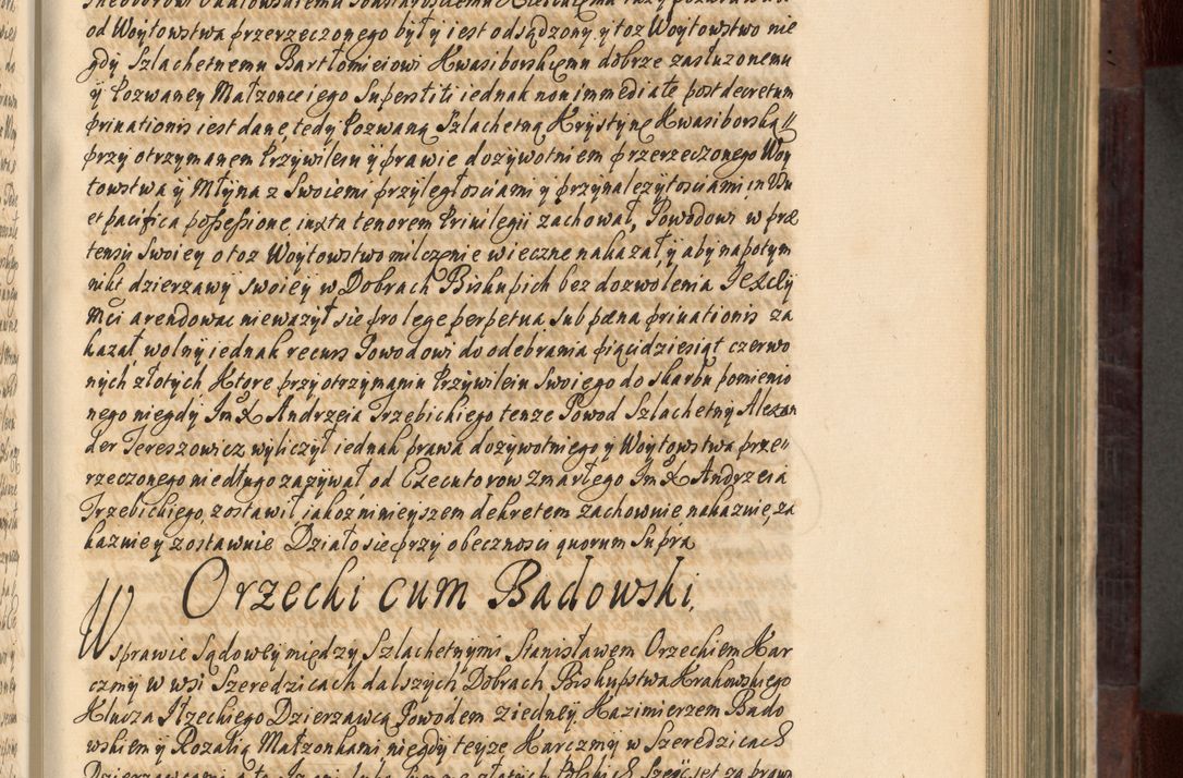 Zdjęcie nr 256 dla obiektu archiwalnego: Acta actorum episscopalium R. D. Joannis Małachowski, episcopi Cracoviensis a die 20 Augusti anni 1681 et 1682 acticatorum. Volumen I