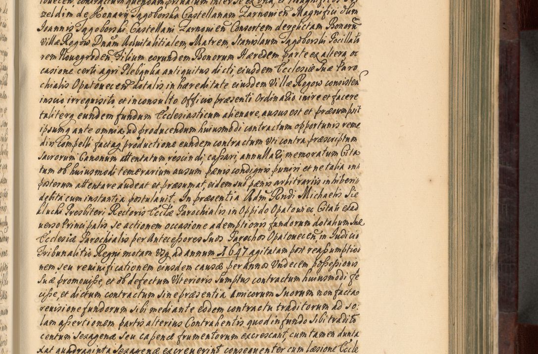 Zdjęcie nr 260 dla obiektu archiwalnego: Acta actorum episscopalium R. D. Joannis Małachowski, episcopi Cracoviensis a die 20 Augusti anni 1681 et 1682 acticatorum. Volumen I