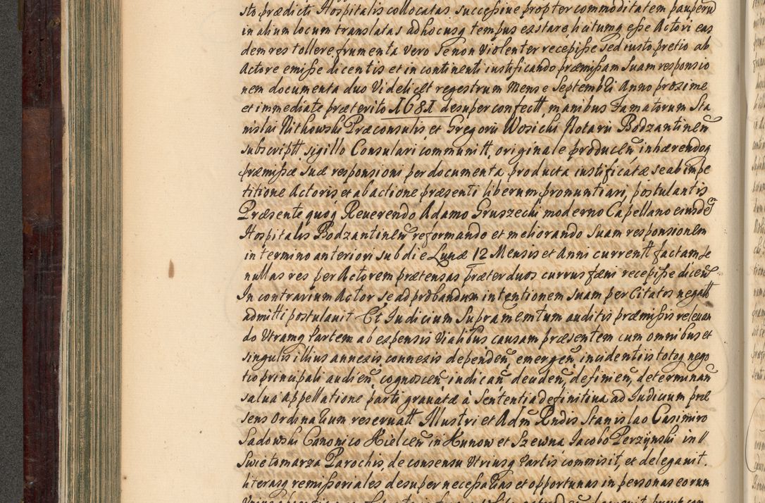 Zdjęcie nr 243 dla obiektu archiwalnego: Acta actorum episscopalium R. D. Joannis Małachowski, episcopi Cracoviensis a die 20 Augusti anni 1681 et 1682 acticatorum. Volumen I