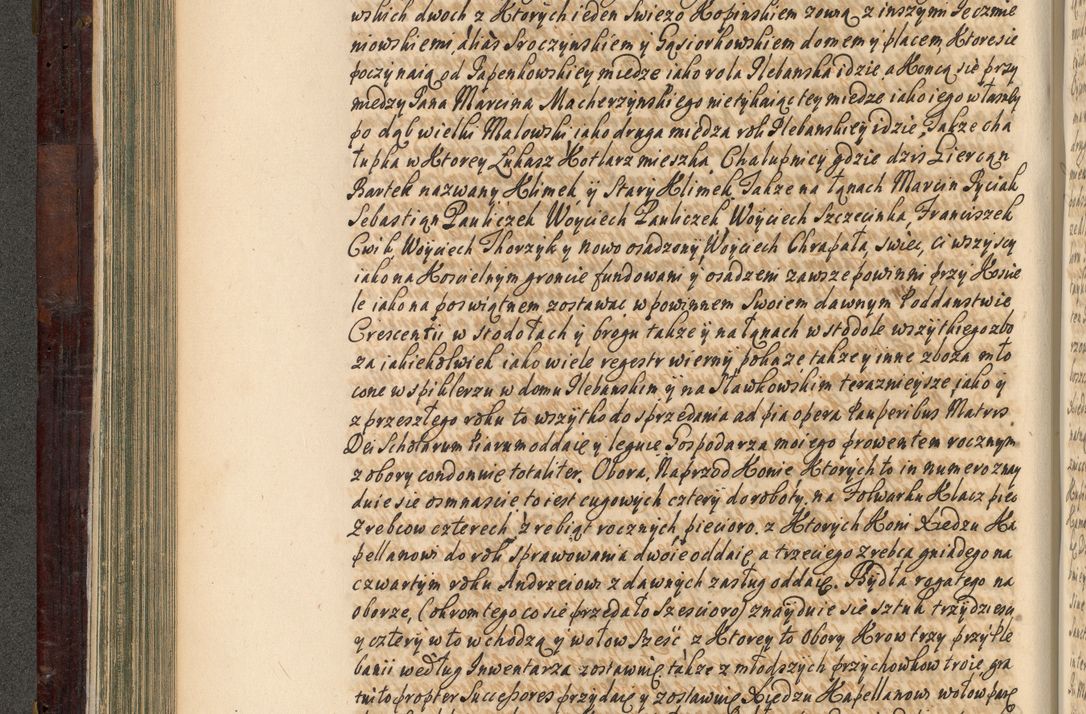 Zdjęcie nr 235 dla obiektu archiwalnego: Acta actorum episscopalium R. D. Joannis Małachowski, episcopi Cracoviensis a die 20 Augusti anni 1681 et 1682 acticatorum. Volumen I