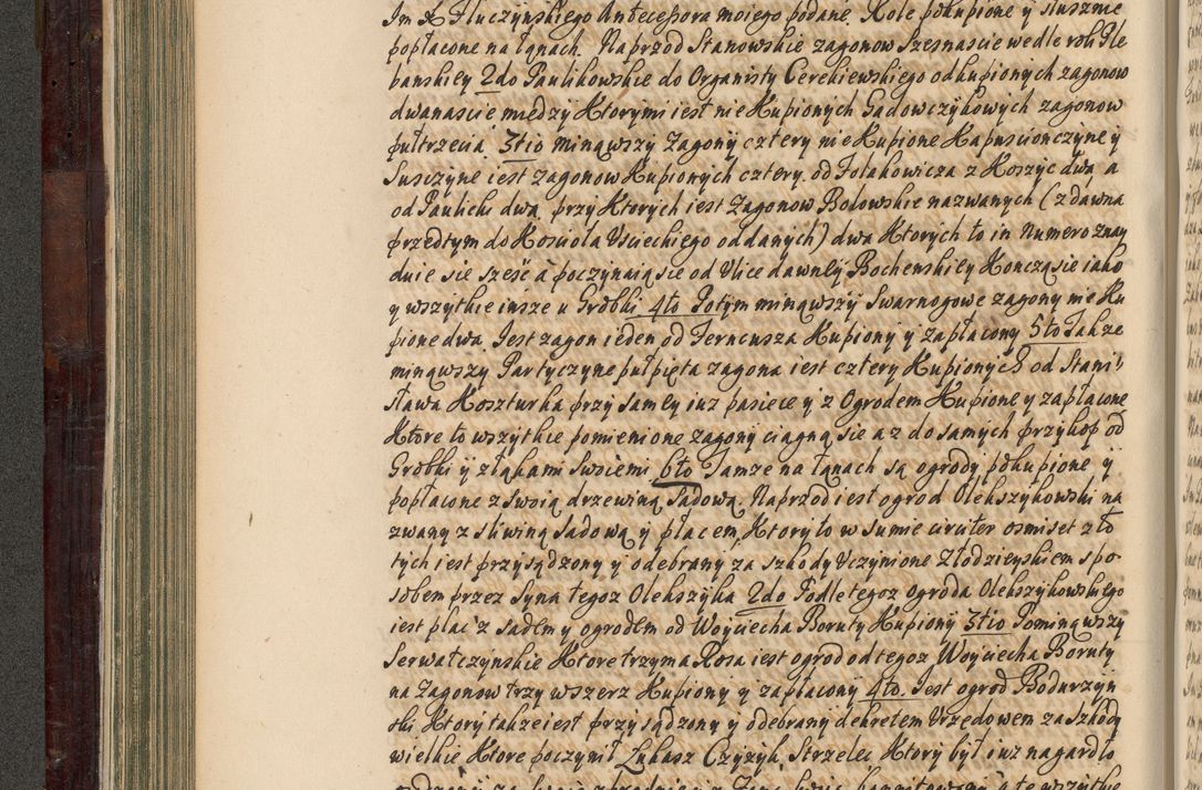 Zdjęcie nr 233 dla obiektu archiwalnego: Acta actorum episscopalium R. D. Joannis Małachowski, episcopi Cracoviensis a die 20 Augusti anni 1681 et 1682 acticatorum. Volumen I