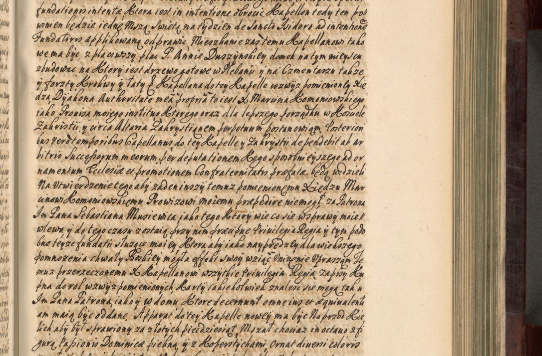 Zdjęcie nr 234 dla obiektu archiwalnego: Acta actorum episscopalium R. D. Joannis Małachowski, episcopi Cracoviensis a die 20 Augusti anni 1681 et 1682 acticatorum. Volumen I
