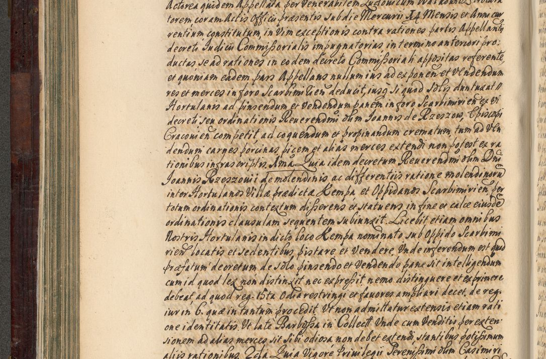 Zdjęcie nr 215 dla obiektu archiwalnego: Acta actorum episscopalium R. D. Joannis Małachowski, episcopi Cracoviensis a die 20 Augusti anni 1681 et 1682 acticatorum. Volumen I
