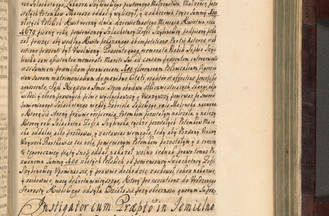 Zdjęcie nr 710 dla obiektu archiwalnego: Acta actorum episscopalium R. D. Joannis Małachowski, episcopi Cracoviensis a die 20 Augusti anni 1681 et 1682 acticatorum. Volumen I