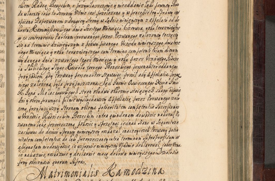 Zdjęcie nr 654 dla obiektu archiwalnego: Acta actorum episscopalium R. D. Joannis Małachowski, episcopi Cracoviensis a die 20 Augusti anni 1681 et 1682 acticatorum. Volumen I