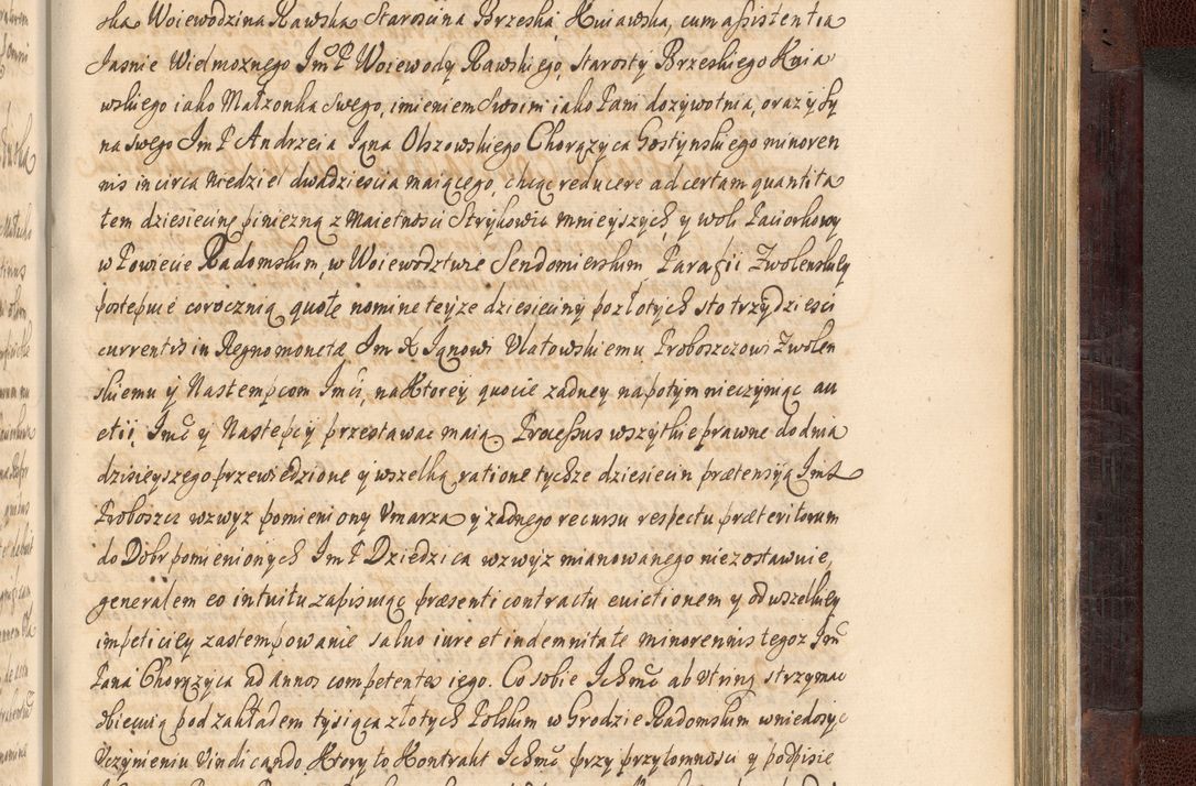 Zdjęcie nr 956 dla obiektu archiwalnego: Acta actorum episscopalium R. D. Joannis Małachowski, episcopi Cracoviensis a die 20 Augusti anni 1681 et 1682 acticatorum. Volumen I