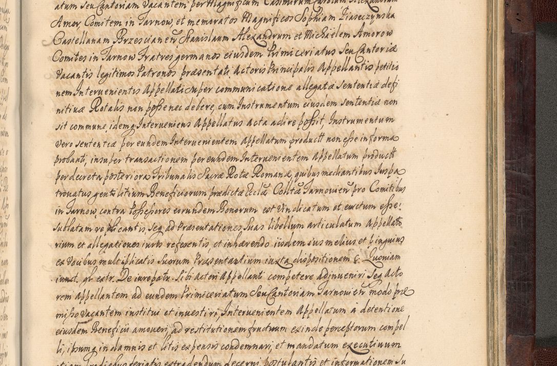 Zdjęcie nr 1046 dla obiektu archiwalnego: Acta actorum episscopalium R. D. Joannis Małachowski, episcopi Cracoviensis a die 20 Augusti anni 1681 et 1682 acticatorum. Volumen I