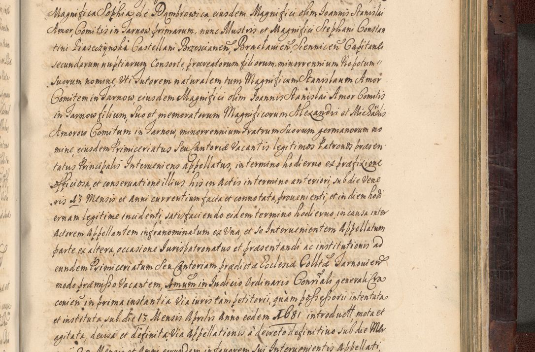 Zdjęcie nr 990 dla obiektu archiwalnego: Acta actorum episscopalium R. D. Joannis Małachowski, episcopi Cracoviensis a die 20 Augusti anni 1681 et 1682 acticatorum. Volumen I