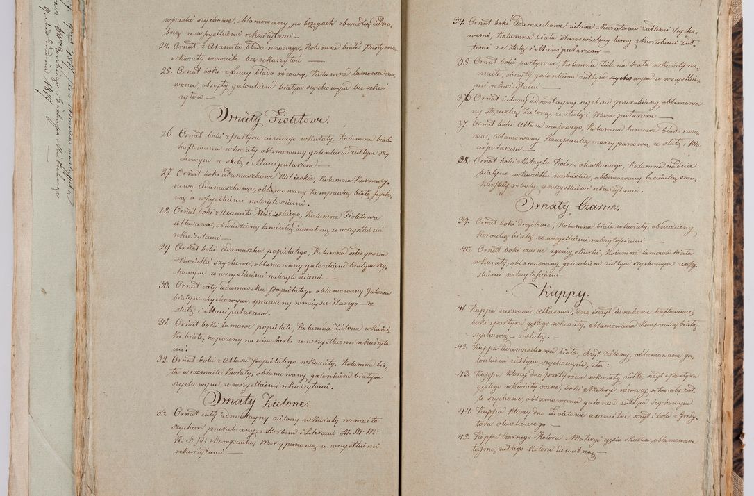 Zdjęcie nr 207 dla obiektu archiwalnego: [Akta wizytacji dekanatów Jędrzejów, Stopnica, Wiślica przeprowadzone przez Ludwika Łętowskiego, wikariusza generalnego krakowskiego w 1842 r.]