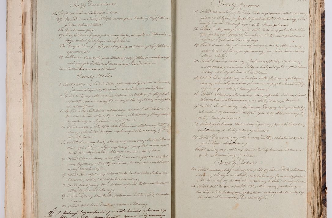 Zdjęcie nr 112 dla obiektu archiwalnego: [Akta wizytacji dekanatów Jędrzejów, Stopnica, Wiślica przeprowadzone przez Ludwika Łętowskiego, wikariusza generalnego krakowskiego w 1842 r.]