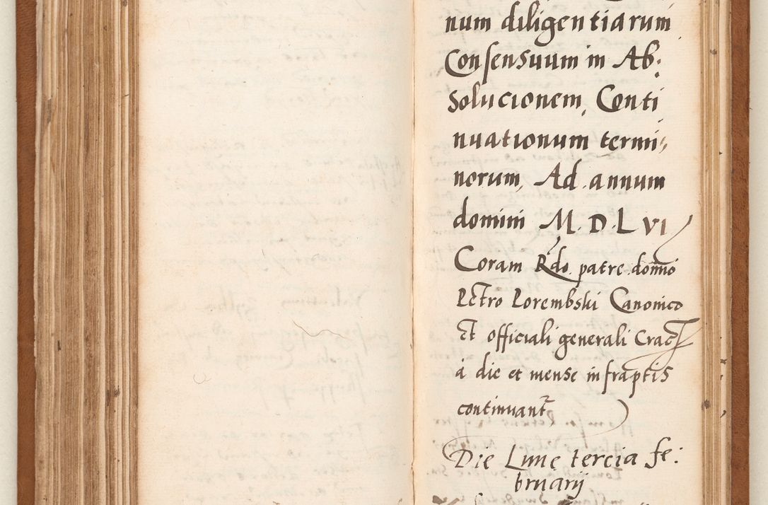 Zdjęcie nr 161 dla obiektu archiwalnego: Acta pronunciationum, absolutoriarum a termino, relacionum, diligenciarum, consensuum in absolutionem, continuationum terminorum ad annum Domini MDLIIᵐ coram reverendo patre domino Petro Porembski canonico et officiali generali Cracoviensi, a die et mense infrascriptis continuantur.