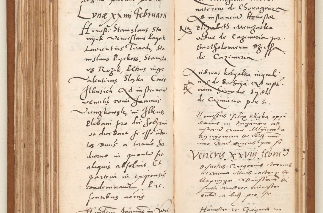 Zdjęcie nr 163 dla obiektu archiwalnego: Acta pronunciationum, absolutoriarum a termino, relacionum, diligenciarum, consensuum in absolutionem, continuationum terminorum ad annum Domini MDLIIᵐ coram reverendo patre domino Petro Porembski canonico et officiali generali Cracoviensi, a die et mense infrascriptis continuantur.
