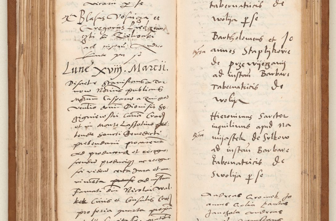 Zdjęcie nr 136 dla obiektu archiwalnego: Acta pronunciationum, absolutoriarum a termino, relacionum, diligenciarum, consensuum in absolutionem, continuationum terminorum ad annum Domini MDLIIᵐ coram reverendo patre domino Petro Porembski canonico et officiali generali Cracoviensi, a die et mense infrascriptis continuantur.