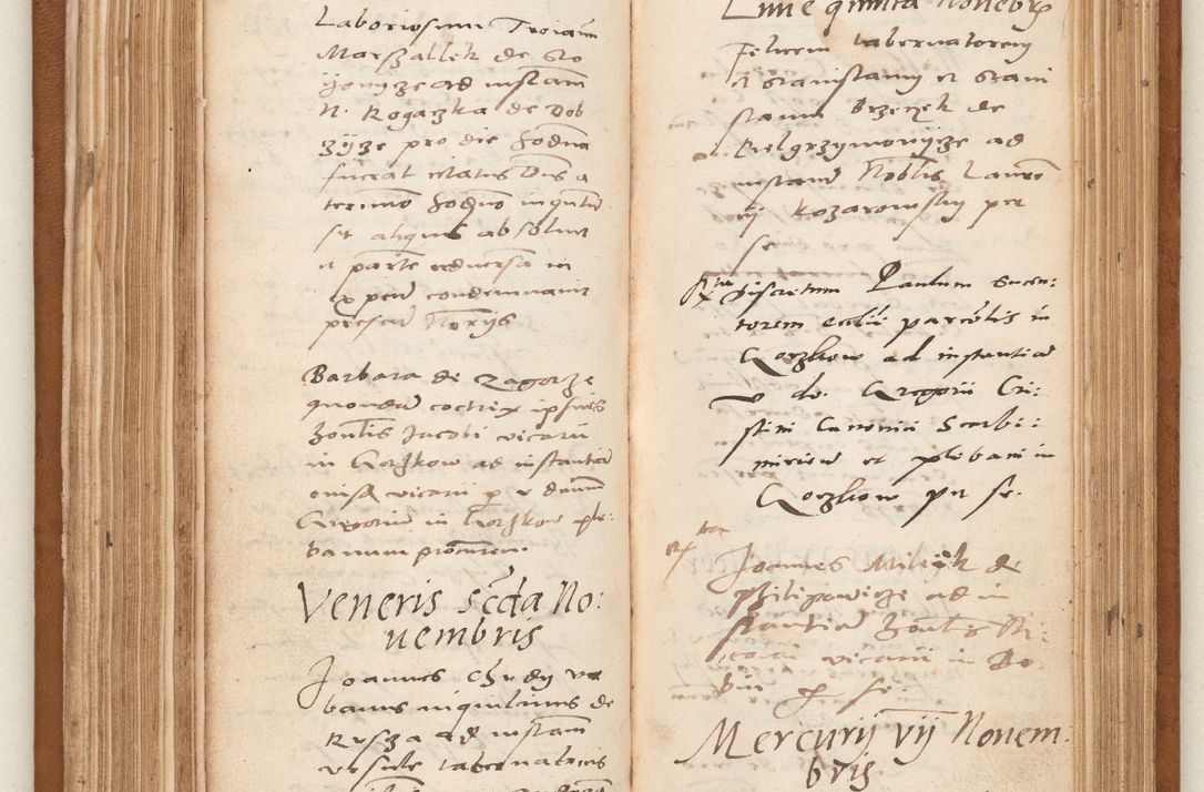 Zdjęcie nr 117 dla obiektu archiwalnego: Acta pronunciationum, absolutoriarum a termino, relacionum, diligenciarum, consensuum in absolutionem, continuationum terminorum ad annum Domini MDLIIᵐ coram reverendo patre domino Petro Porembski canonico et officiali generali Cracoviensi, a die et mense infrascriptis continuantur.