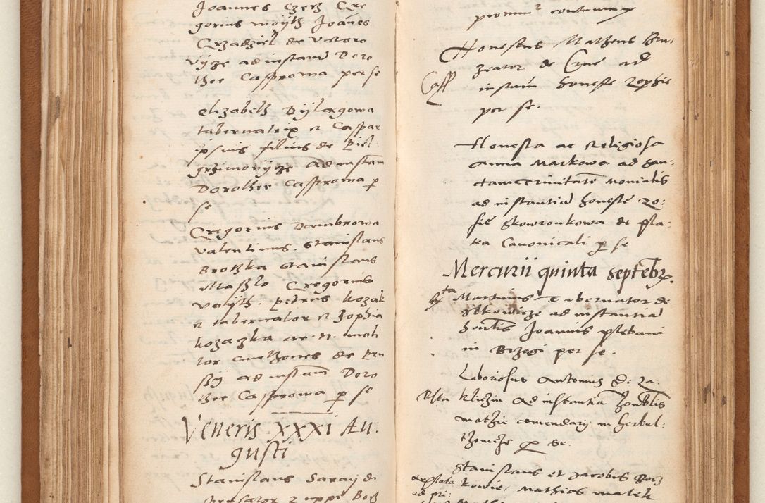 Zdjęcie nr 109 dla obiektu archiwalnego: Acta pronunciationum, absolutoriarum a termino, relacionum, diligenciarum, consensuum in absolutionem, continuationum terminorum ad annum Domini MDLIIᵐ coram reverendo patre domino Petro Porembski canonico et officiali generali Cracoviensi, a die et mense infrascriptis continuantur.