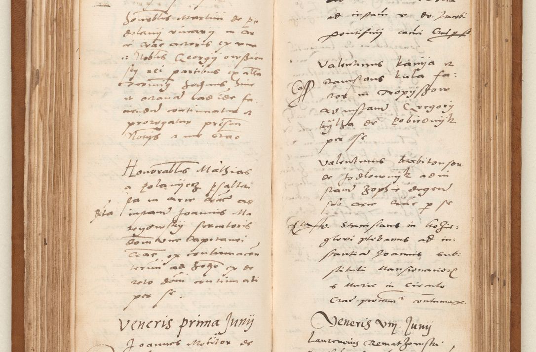 Zdjęcie nr 102 dla obiektu archiwalnego: Acta pronunciationum, absolutoriarum a termino, relacionum, diligenciarum, consensuum in absolutionem, continuationum terminorum ad annum Domini MDLIIᵐ coram reverendo patre domino Petro Porembski canonico et officiali generali Cracoviensi, a die et mense infrascriptis continuantur.