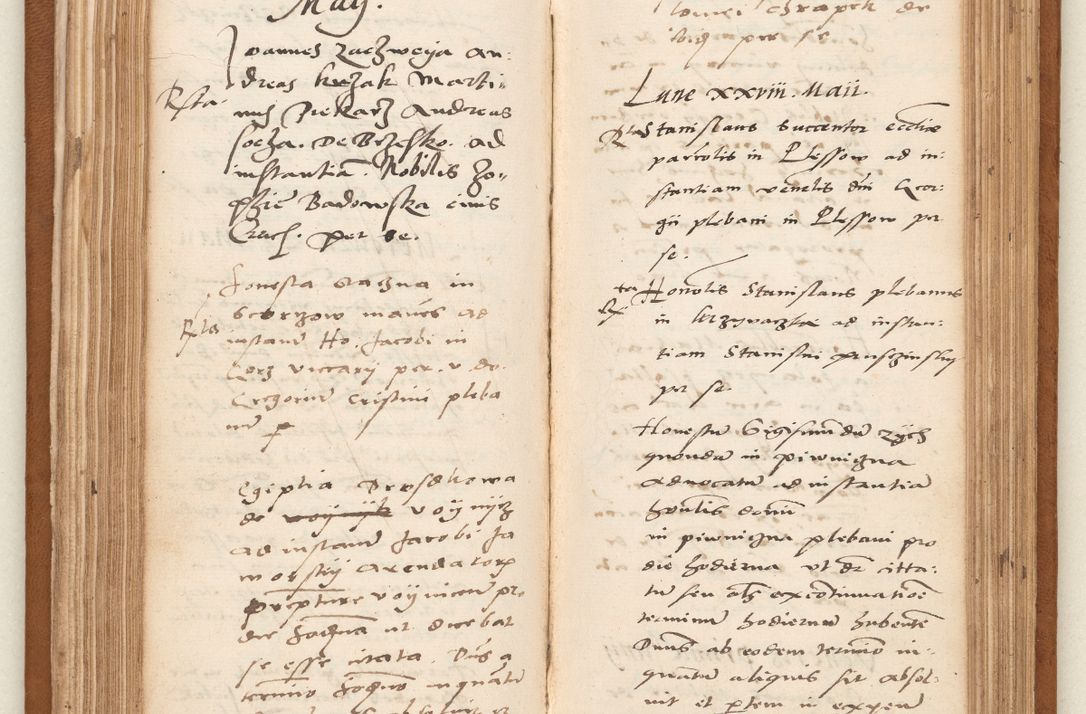 Zdjęcie nr 101 dla obiektu archiwalnego: Acta pronunciationum, absolutoriarum a termino, relacionum, diligenciarum, consensuum in absolutionem, continuationum terminorum ad annum Domini MDLIIᵐ coram reverendo patre domino Petro Porembski canonico et officiali generali Cracoviensi, a die et mense infrascriptis continuantur.