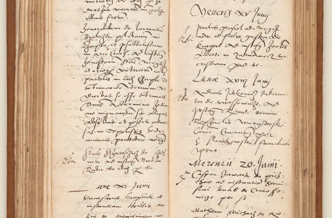 Zdjęcie nr 103 dla obiektu archiwalnego: Acta pronunciationum, absolutoriarum a termino, relacionum, diligenciarum, consensuum in absolutionem, continuationum terminorum ad annum Domini MDLIIᵐ coram reverendo patre domino Petro Porembski canonico et officiali generali Cracoviensi, a die et mense infrascriptis continuantur.