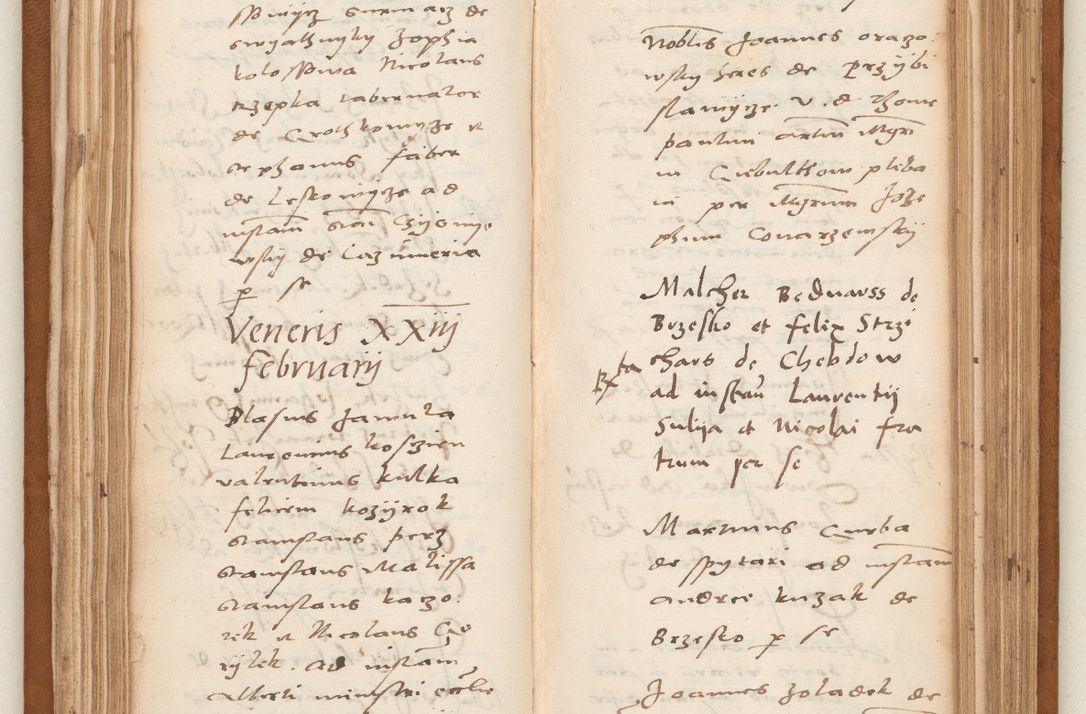 Zdjęcie nr 74 dla obiektu archiwalnego: Acta pronunciationum, absolutoriarum a termino, relacionum, diligenciarum, consensuum in absolutionem, continuationum terminorum ad annum Domini MDLIIᵐ coram reverendo patre domino Petro Porembski canonico et officiali generali Cracoviensi, a die et mense infrascriptis continuantur.