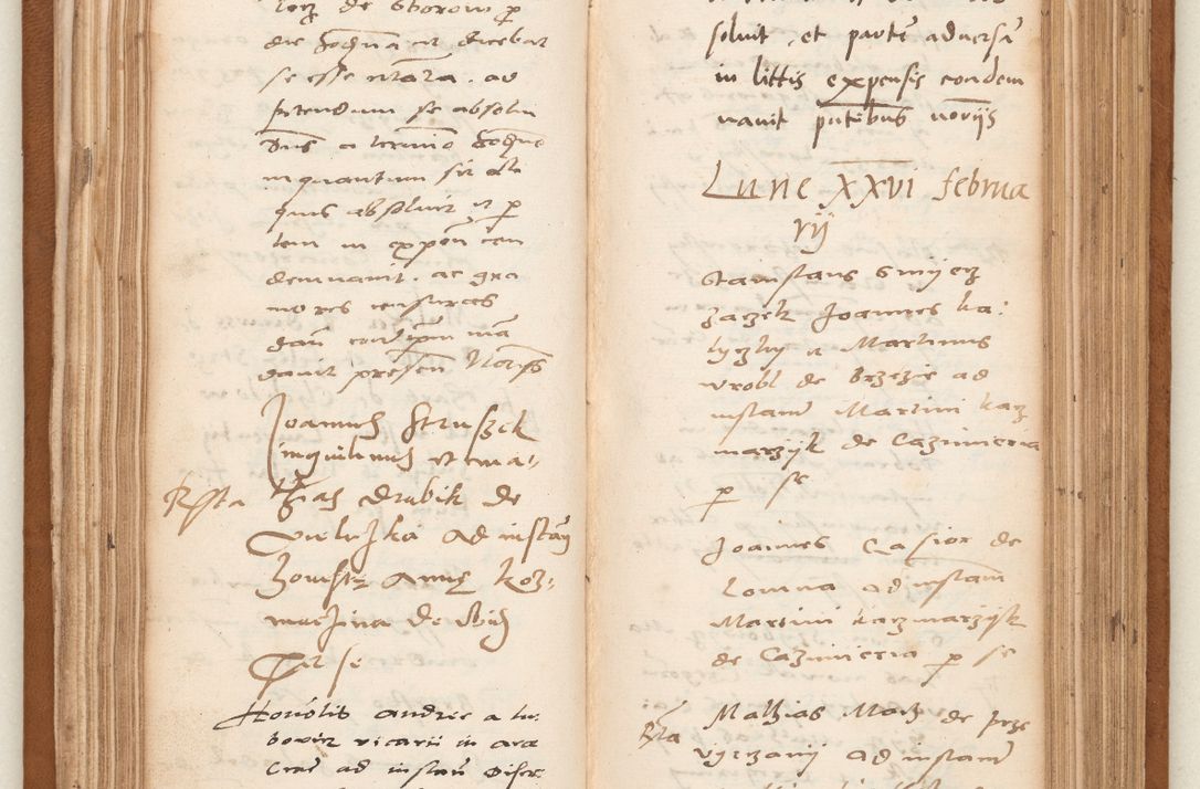 Zdjęcie nr 75 dla obiektu archiwalnego: Acta pronunciationum, absolutoriarum a termino, relacionum, diligenciarum, consensuum in absolutionem, continuationum terminorum ad annum Domini MDLIIᵐ coram reverendo patre domino Petro Porembski canonico et officiali generali Cracoviensi, a die et mense infrascriptis continuantur.