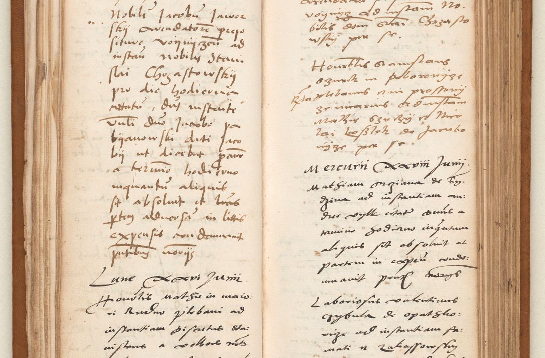 Zdjęcie nr 48 dla obiektu archiwalnego: Acta pronunciationum, absolutoriarum a termino, relacionum, diligenciarum, consensuum in absolutionem, continuationum terminorum ad annum Domini MDLIIᵐ coram reverendo patre domino Petro Porembski canonico et officiali generali Cracoviensi, a die et mense infrascriptis continuantur.