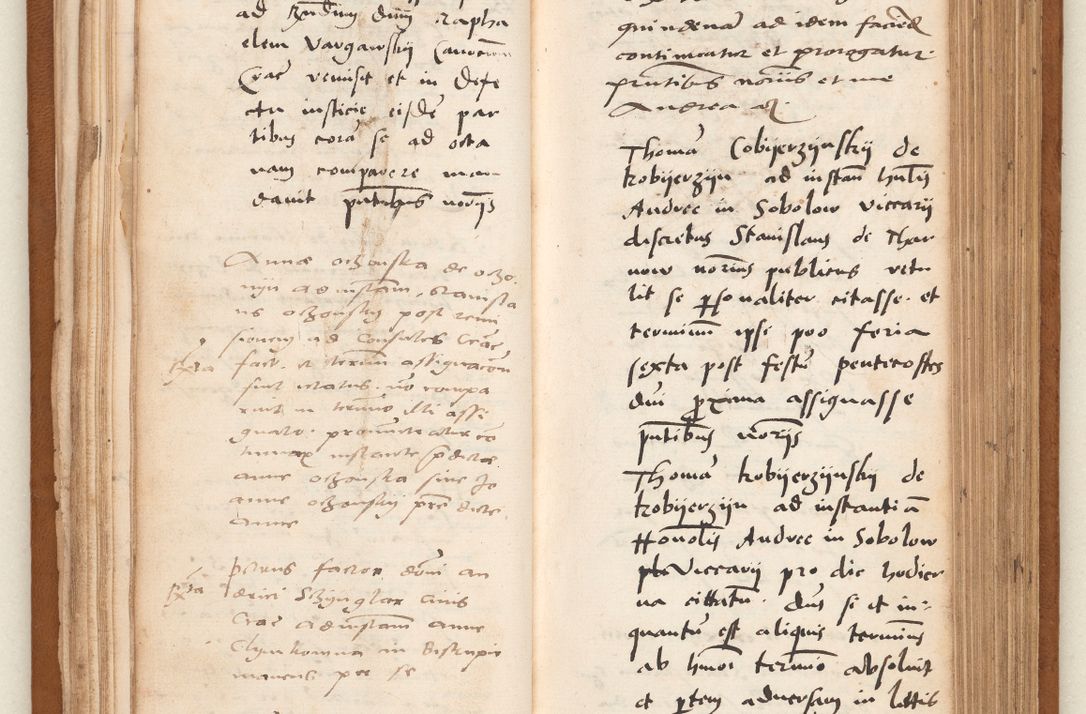 Zdjęcie nr 43 dla obiektu archiwalnego: Acta pronunciationum, absolutoriarum a termino, relacionum, diligenciarum, consensuum in absolutionem, continuationum terminorum ad annum Domini MDLIIᵐ coram reverendo patre domino Petro Porembski canonico et officiali generali Cracoviensi, a die et mense infrascriptis continuantur.