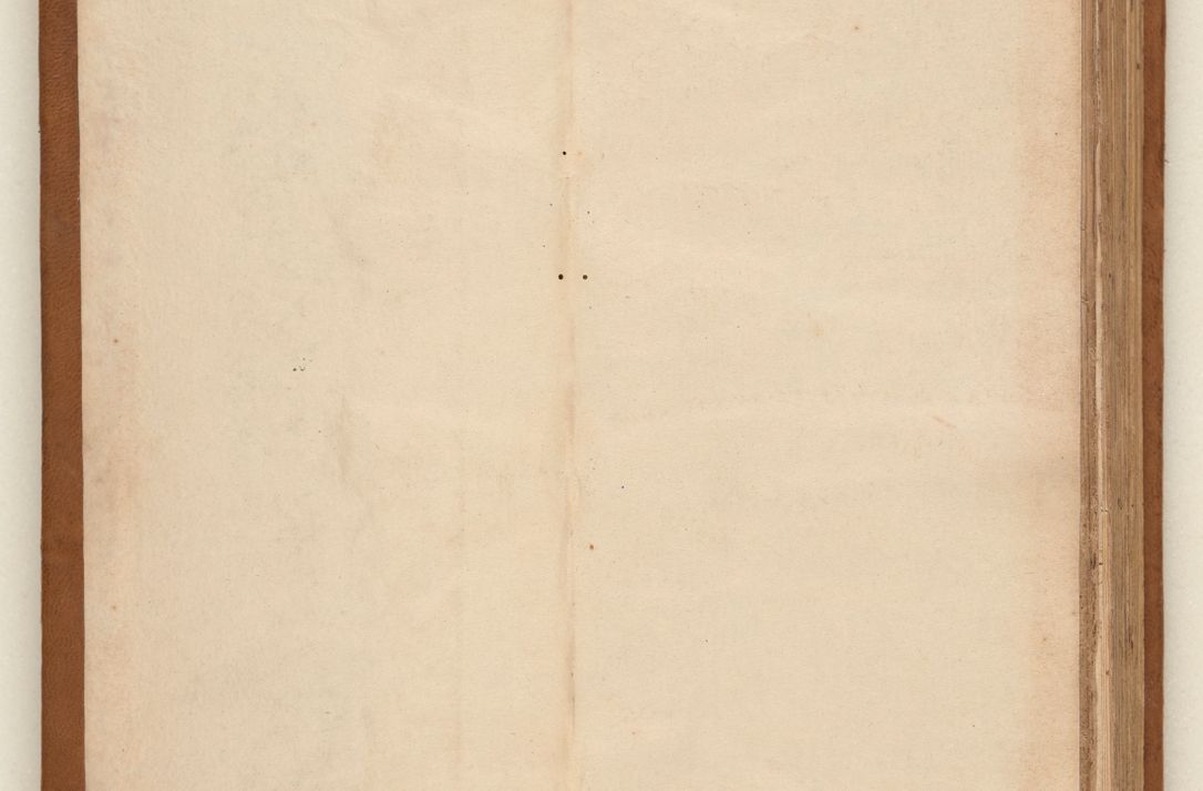 Zdjęcie nr 3 dla obiektu archiwalnego: Acta pronunciationum, absolutoriarum a termino, relacionum, diligenciarum, consensuum in absolutionem, continuationum terminorum ad annum Domini MDLIIᵐ coram reverendo patre domino Petro Porembski canonico et officiali generali Cracoviensi, a die et mense infrascriptis continuantur.