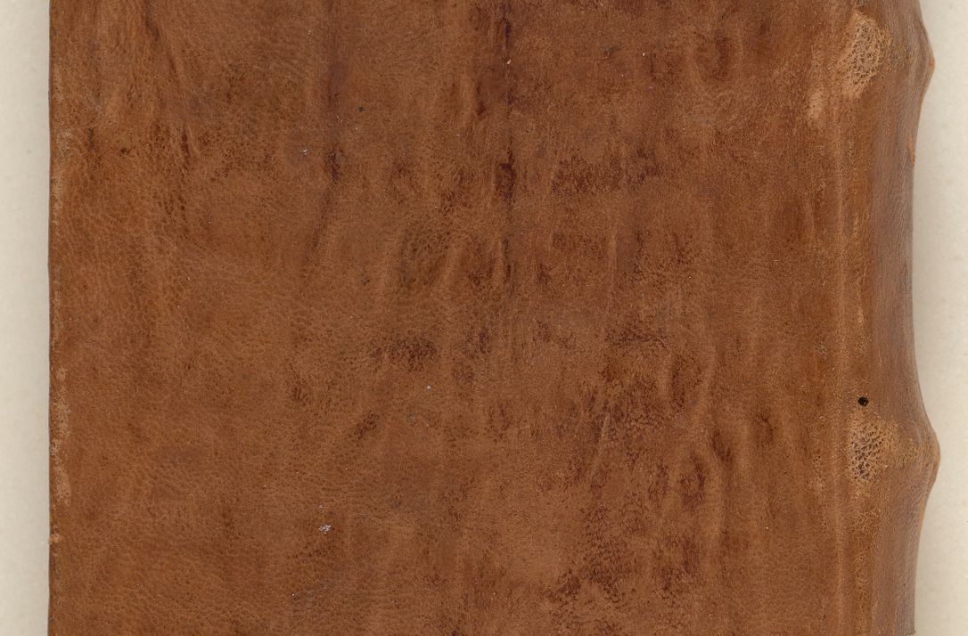 Zdjęcie nr 2 dla obiektu archiwalnego: Acta pronunciationum, absolutoriarum a termino, relacionum, diligenciarum, consensuum in absolutionem, continuationum terminorum ad annum Domini MDLIIᵐ coram reverendo patre domino Petro Porembski canonico et officiali generali Cracoviensi, a die et mense infrascriptis continuantur.