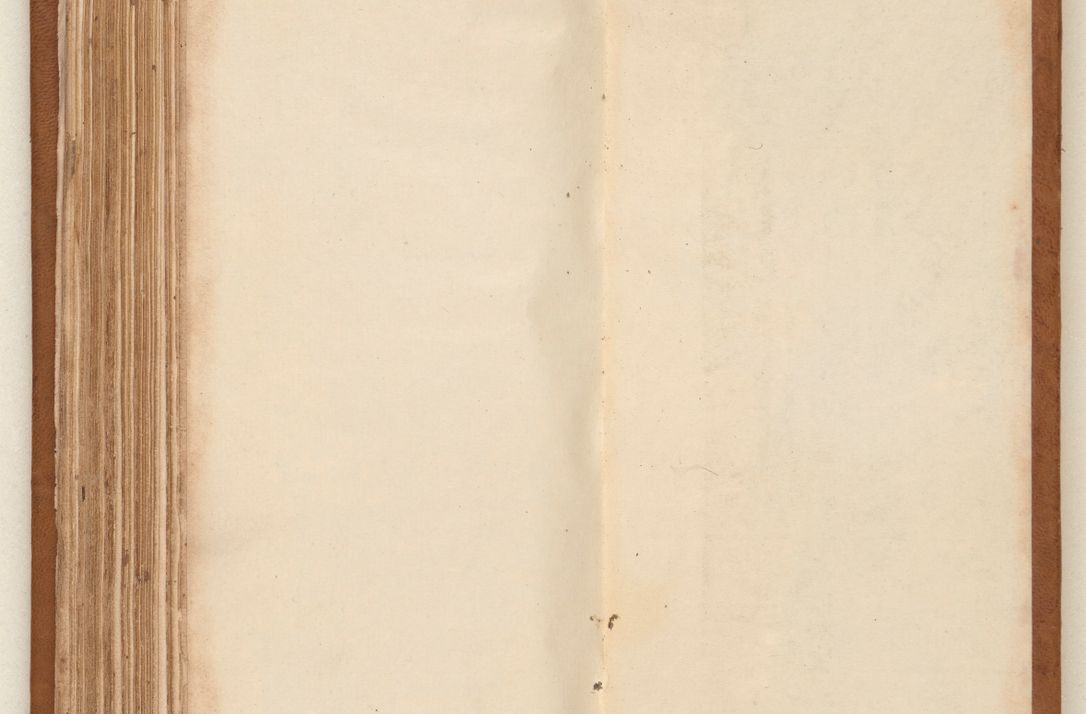 Zdjęcie nr 198 dla obiektu archiwalnego: Acta pronunciationum, absolutoriarum a termino, relacionum, diligenciarum, consensuum in absolutionem, continuationum terminorum ad annum Domini MDLIIᵐ coram reverendo patre domino Petro Porembski canonico et officiali generali Cracoviensi, a die et mense infrascriptis continuantur.