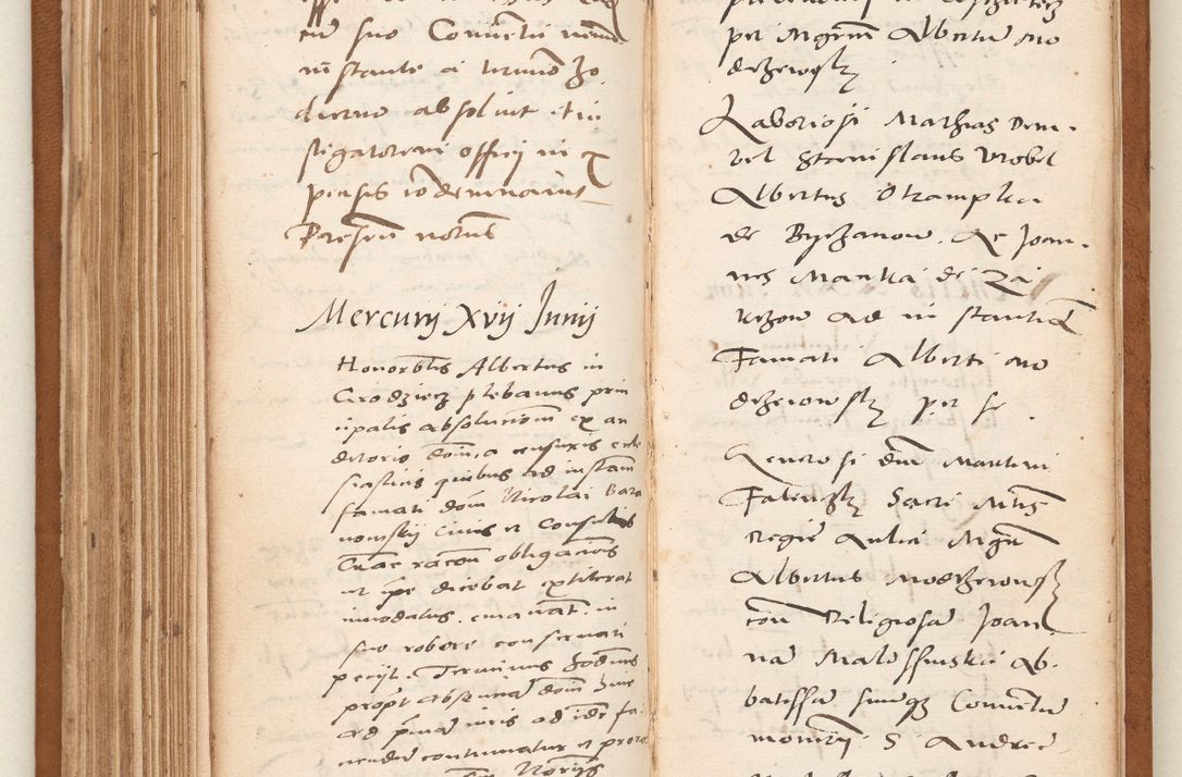 Zdjęcie nr 190 dla obiektu archiwalnego: Acta pronunciationum, absolutoriarum a termino, relacionum, diligenciarum, consensuum in absolutionem, continuationum terminorum ad annum Domini MDLIIᵐ coram reverendo patre domino Petro Porembski canonico et officiali generali Cracoviensi, a die et mense infrascriptis continuantur.
