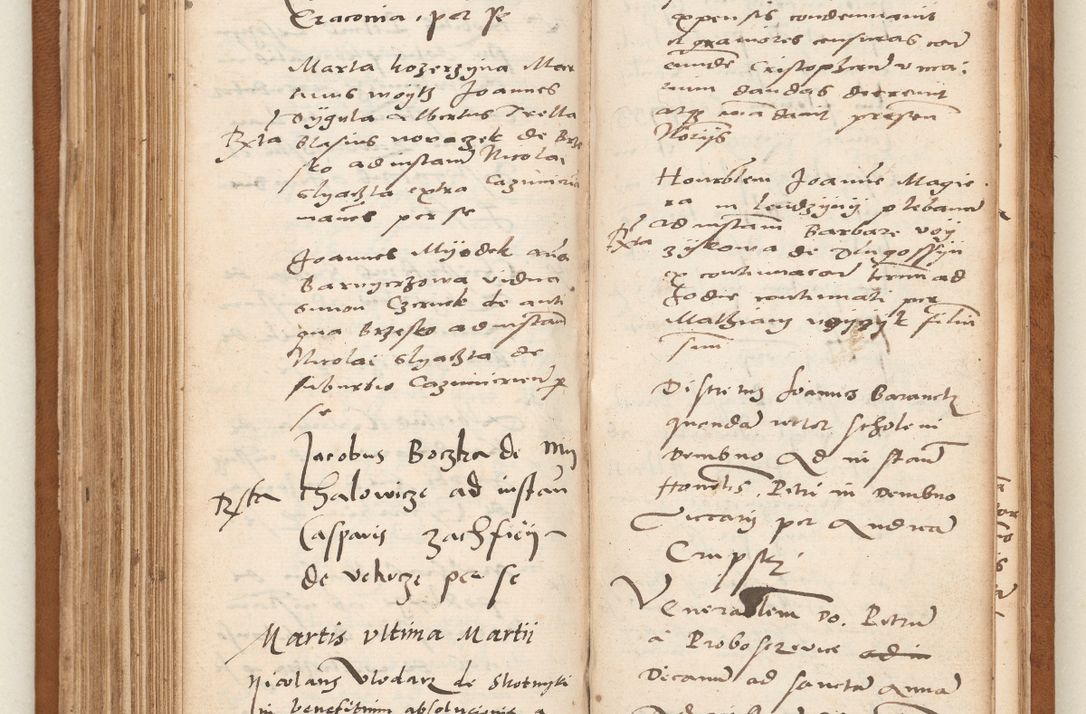 Zdjęcie nr 183 dla obiektu archiwalnego: Acta pronunciationum, absolutoriarum a termino, relacionum, diligenciarum, consensuum in absolutionem, continuationum terminorum ad annum Domini MDLIIᵐ coram reverendo patre domino Petro Porembski canonico et officiali generali Cracoviensi, a die et mense infrascriptis continuantur.