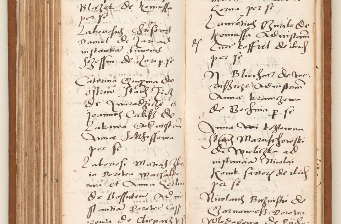Zdjęcie nr 177 dla obiektu archiwalnego: Acta pronunciationum, absolutoriarum a termino, relacionum, diligenciarum, consensuum in absolutionem, continuationum terminorum ad annum Domini MDLIIᵐ coram reverendo patre domino Petro Porembski canonico et officiali generali Cracoviensi, a die et mense infrascriptis continuantur.