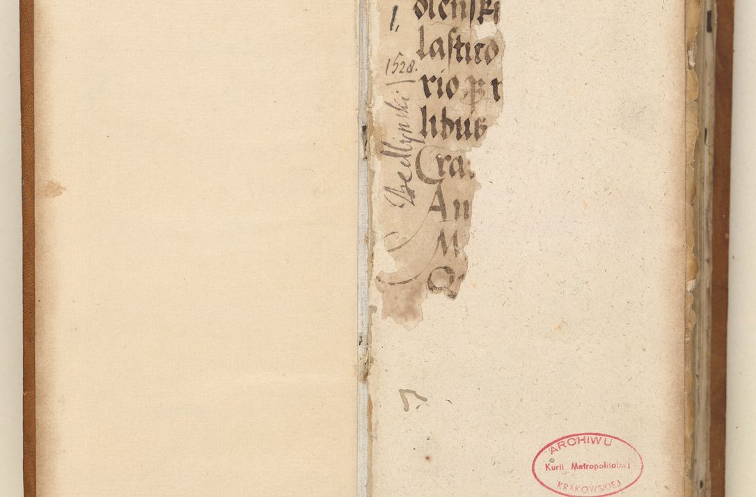 Zdjęcie nr 4 dla obiektu archiwalnego: Ac[ta con]stitutio[num procuratorum] coram [reve]rendo pa[tre domino] Nicola[o Be]dlenski [scho]lastico [vica]rioque i[n spiritua]libus [generali] Cra[coviensi] an[no Domini millesimo quingentesimo vigesimo octavo].