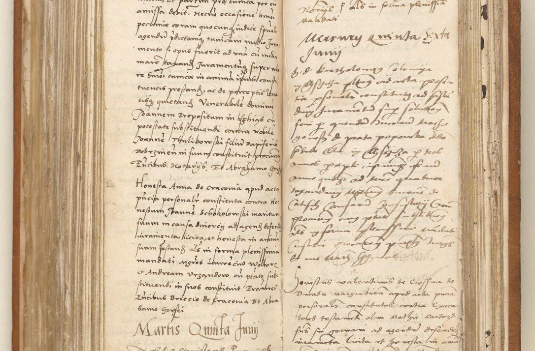 Zdjęcie nr 178 dla obiektu archiwalnego: Ac[ta con]stitutio[num procuratorum] coram [reve]rendo pa[tre domino] Nicola[o Be]dlenski [scho]lastico [vica]rioque i[n spiritua]libus [generali] Cra[coviensi] an[no Domini millesimo quingentesimo vigesimo octavo].