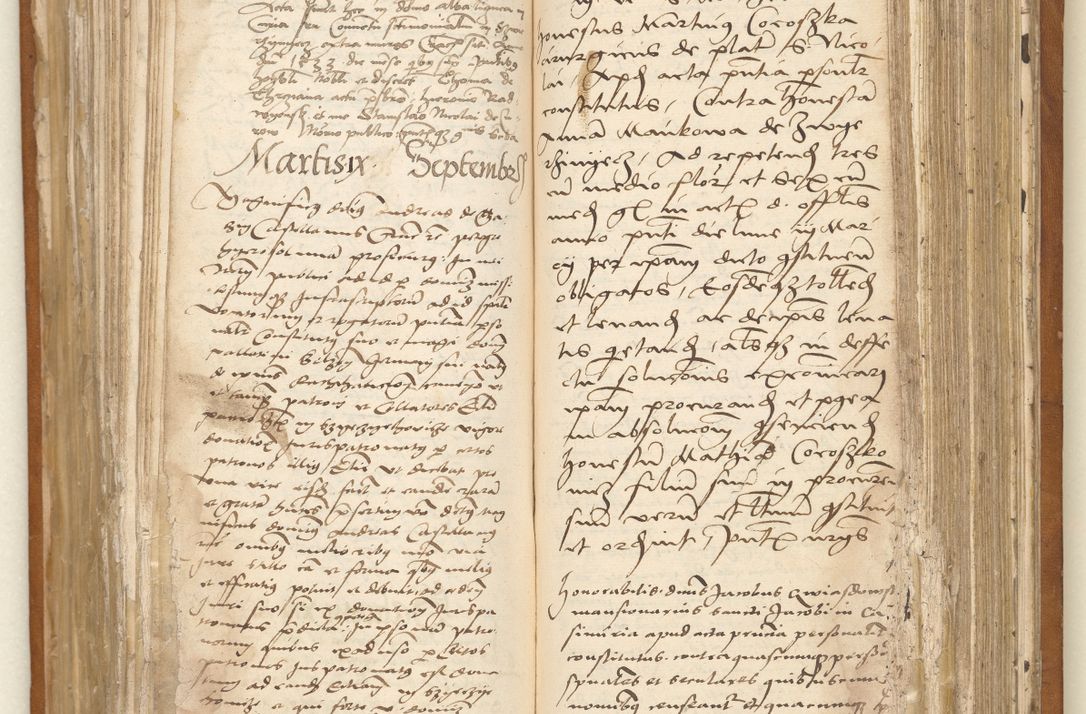Zdjęcie nr 29 dla obiektu archiwalnego: Ac[ta con]stitutio[num procuratorum] coram [reve]rendo pa[tre domino] Nicola[o Be]dlenski [scho]lastico [vica]rioque i[n spiritua]libus [generali] Cra[coviensi] an[no Domini millesimo quingentesimo vigesimo octavo].