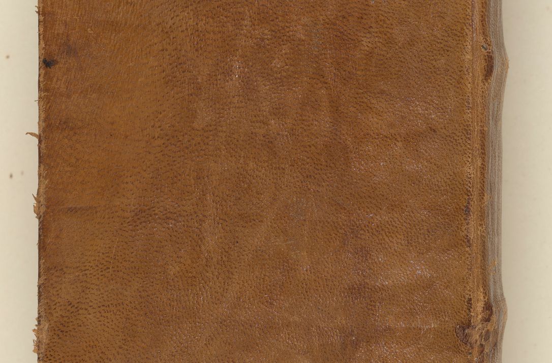 Zdjęcie nr 2 dla obiektu archiwalnego: [Acta sententiarum vicarialia coram Sigismundo de Targowsko]