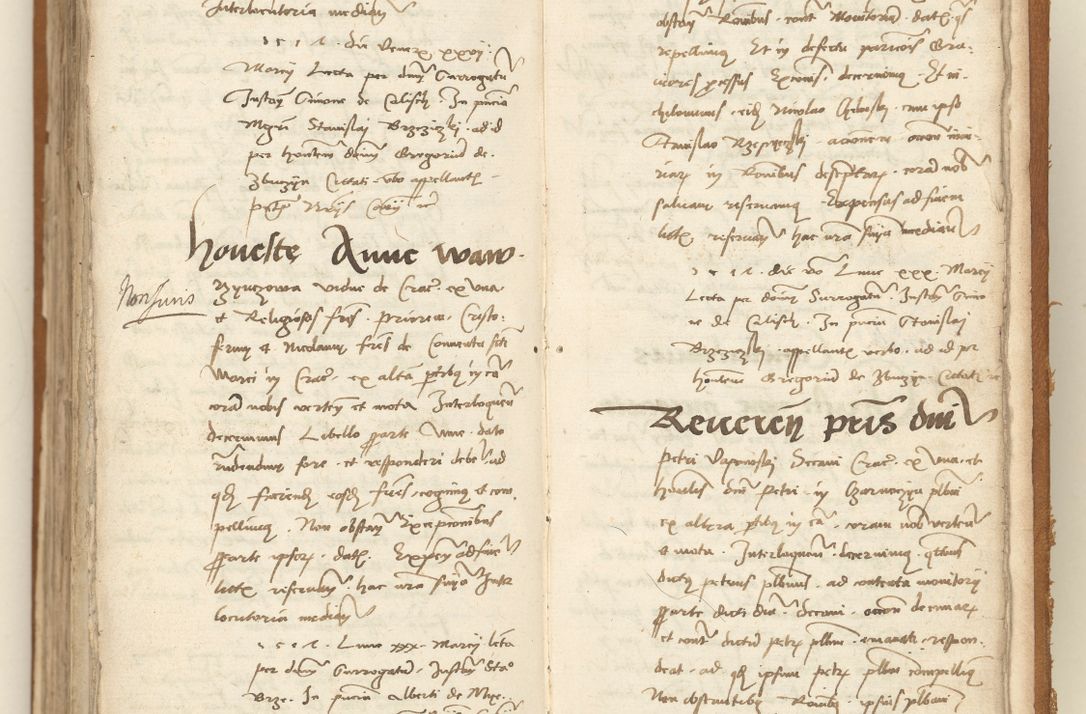 Zdjęcie nr 387 dla obiektu archiwalnego: [Acta sententiarum vicarialia coram Sigismundo de Targowsko]