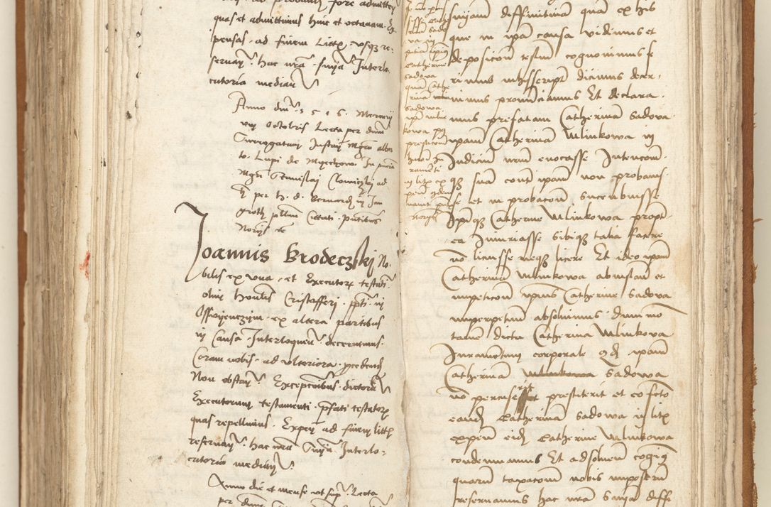 Zdjęcie nr 358 dla obiektu archiwalnego: [Acta sententiarum vicarialia coram Sigismundo de Targowsko]